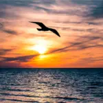 Frasi d’autore e immagini sul mare: le migliori da dedicare