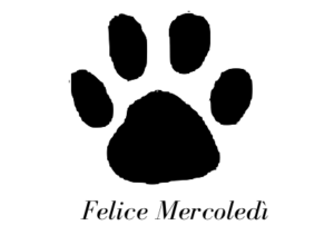 buon-mercoledì
