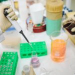 Monociti alti: cause, stanchezza, denti, quando preoccuparsi