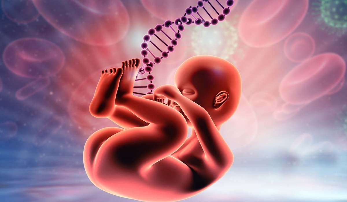 test dna fetale