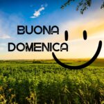 Frasi, aforismi e battute ironiche sulla domenica