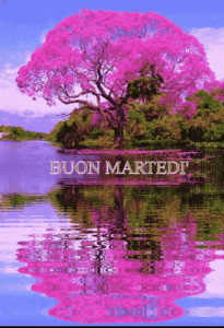 buon-martedì