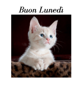 buon lunedì