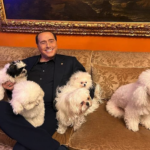 Silvio Berlusconi: che fine ha fatto il cane Dudù dopo la sua morte