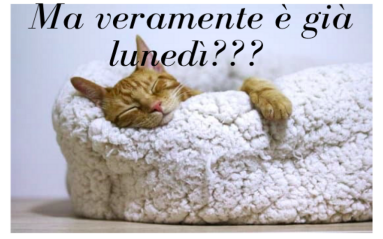 Buon lunedì!
