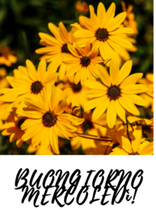 buon-mercoledì