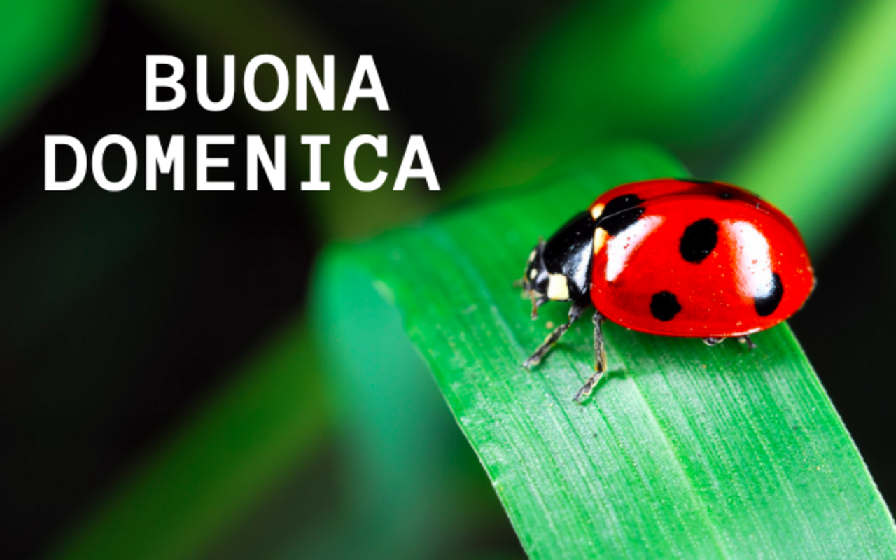 buona-domenica