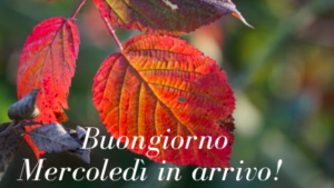 buon-mercoledì