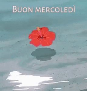 buon-mercoledì