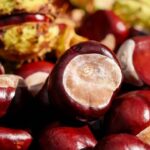 Le Castagne fanno bene: 5 benefici alla salute subito evidenti
