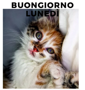 buon-lunedì