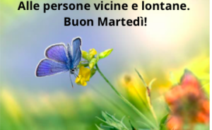 buon-martedì