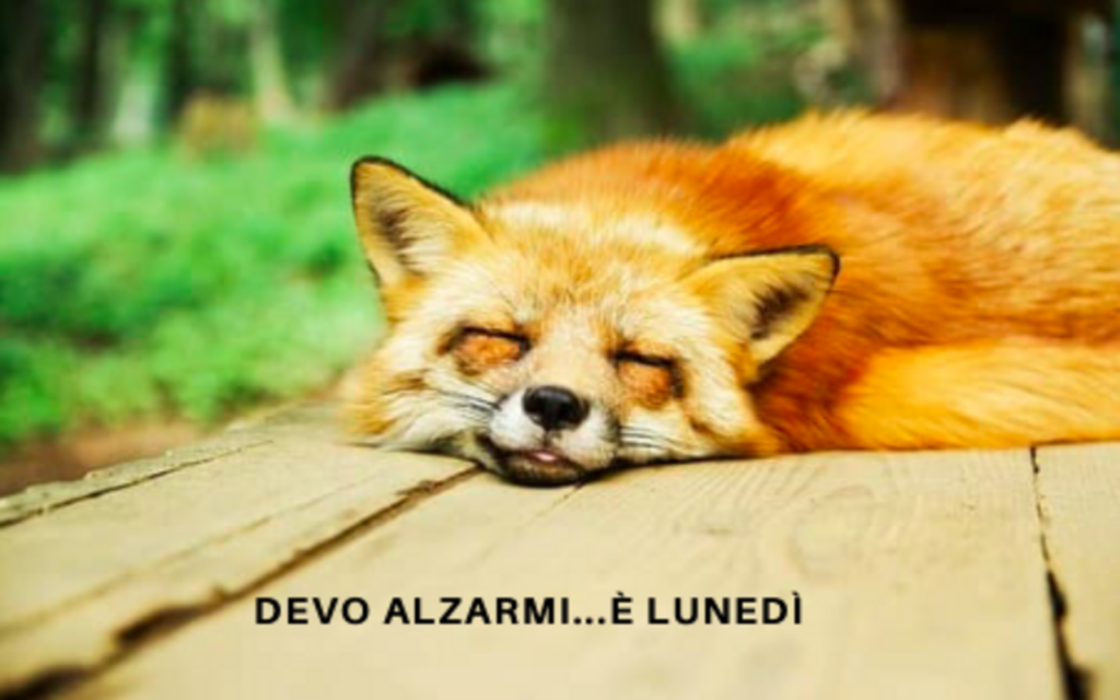 buon-lunedì