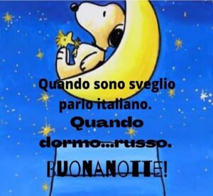 Buonanotte Immagini: frasi buonanotte, le più belle di oggi 8 dicembre 2023
