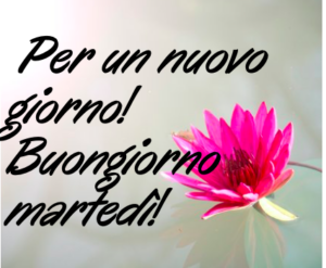 buon-martedì