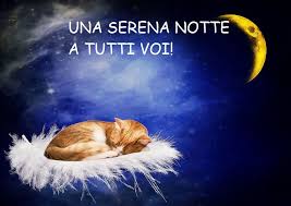 Buonanotte Immagini: frasi buonanotte, le più belle di oggi 8 dicembre 2023