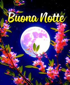 Buonanotte Immagini: frasi buonanotte, le più belle di oggi 8 dicembre 2023