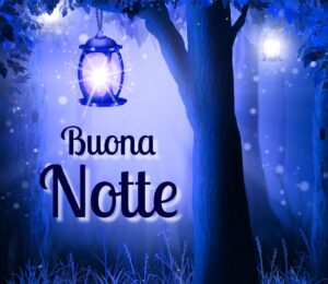 Buonanotte Immagini: frasi buonanotte, le più belle di oggi 7 dicembre 2023