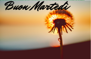 buon-martedì