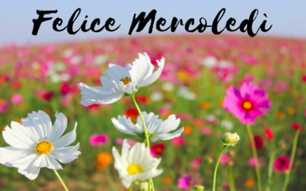buon-mercoledì