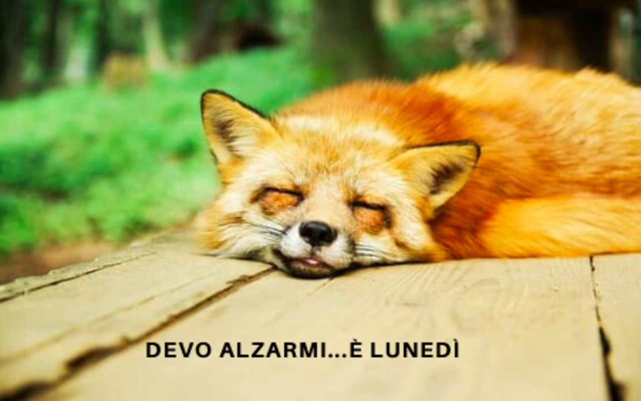 buon-lunedì