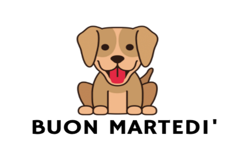 buon-martedì