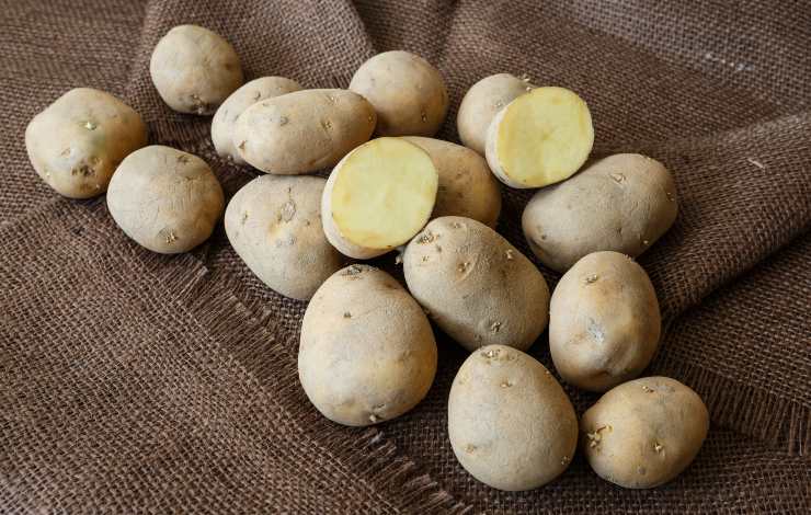 Patate bianche