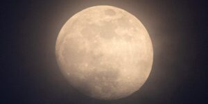 featured_image_22774