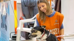 Alessia Monti, l'angelo dei cani di Bologna: