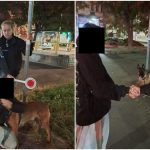 Cane smarrito a Milano: chi lo ritrova chiede mille euro per restituirlo
