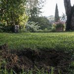 Buchi in giardino: come capire quale animale li scava e cosa fare